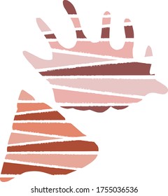 Vector seashell drawings. Summer beach and sea sketch illustrations.