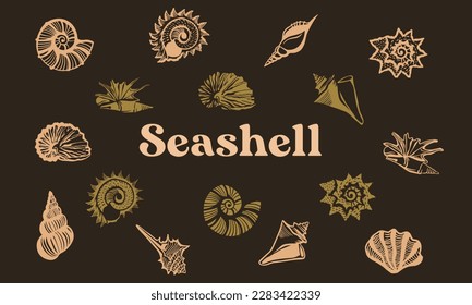 vector seashell element for summer themed pattern and decorative ornament needs