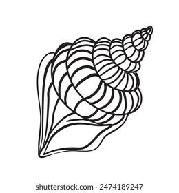 Vector Seashell. Hand drawn illustration of sea Shell on isolated background. Drawing of Scallop on outline style. Sketch of Cockleshell painted by black ink. Underwater line art for icon or logo.