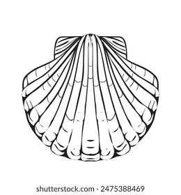 Vector Seashell. Hand drawn illustration of sea Shell on isolated background. Drawing of Scallop on outline style. Sketch of Cockleshell painted by black ink. Underwater line art for icon or logo.