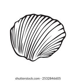 Vetor Seashell. Ilustração desenhada à mão de Shell mar em fundo isolado. Desenho de vieira no estilo de contorno. Esboço de Cockleshell pintado com tinta preta