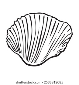 Vetor Seashell. Ilustração desenhada à mão de Shell mar em fundo isolado. Desenho de vieira no estilo de contorno. Esboço de Cockleshell pintado com tinta preta