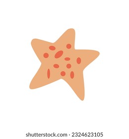 Vector seashell hand drawn, summer marine fauna starfish isolated on white background 