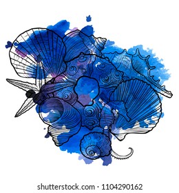 vector seashells at blue watercolor background , hand drawn illustration, sea composition