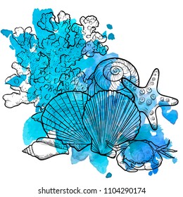 vector seashells at blue watercolor background , hand drawn illustration, sea composition