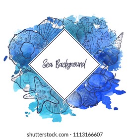 vector seashells at blue watercolor background , hand drawn illustration, sea composition