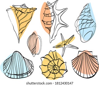 Vector seashells with color spots