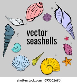 Vector seashells composition. Beautiful ocean shells graphic poster. Marine drawing collection