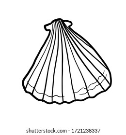 Vector seashells. Hand drawing illustration with engraving line. A collection of realistic sketches of various mollusk shells of various shapes. River shell. For cards, posters, stickers  and design.