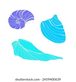 Vector Seashells line art set. Hand drawn illustration of sea Shells on isolated background. 