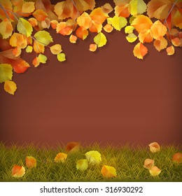 Vector season background with autumn tree branches, fall leaves on grass