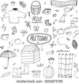 vector seasonal set autumn items  items  vector rainy weather socks black and white elements leaves  packaging design harvest pumpkin 