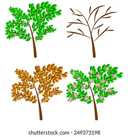 vector seasonal trees