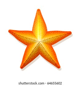 Vector Seastar