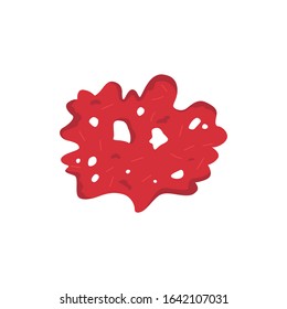 Vector seaweed icon isolated on whire. Sea underwater marine plant.