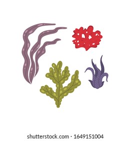Vector seaweed icons isolated on whire. Sea coral and underwater marine plants.