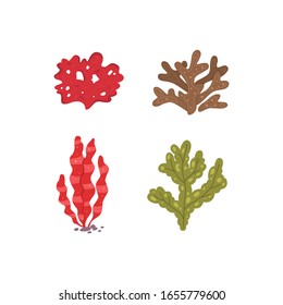 Vector seaweed icons isolated on whire. Sea coral and underwater marine plants.
