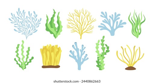 Vector conjunto de algas aislado sobre fondo blanco