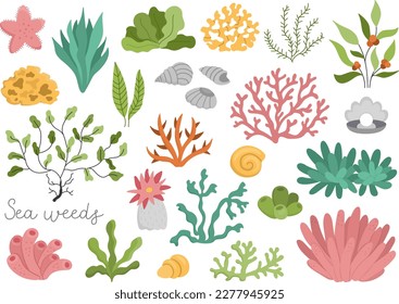 Vector seaweeds set. Sea or ocean plants collection. Flat corals, actinia, luminaria, star, phyllophora, seashells and pearl collection. Water greenery flat clipart pack