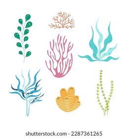 Vektor-Algen-Set, Meer- oder Ozeanpflanzensammlung, Flachkorallen, Luminaria, Phyllophora, Muscheln, Wasserpflanzen einzeln auf weißem Hintergrund
