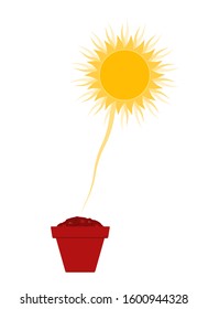 vector seed in pot and sun isolated on white background