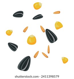 Vector seeds. Corn, sunflower seeds and oats. Isolated on white background. Agriculture design element. 