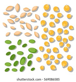 Vector seeds isolated on white background. Flat design illustration. 