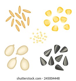 vector seeds (set)