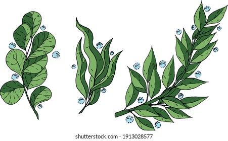Vector selection of illustrations of spring branches with leaves of different shapes surrounded by dew drops. The branches are delicate spring shades and have a black outline. 
