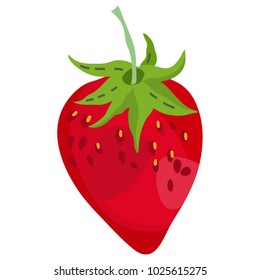 Vector separated illustration of strawberry.