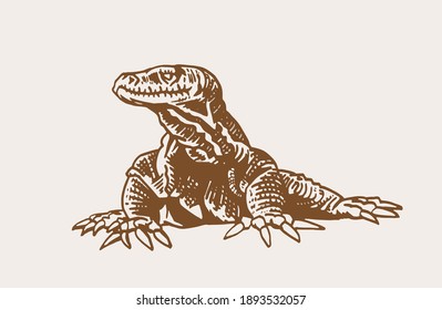 Vector sepia illustration of varan