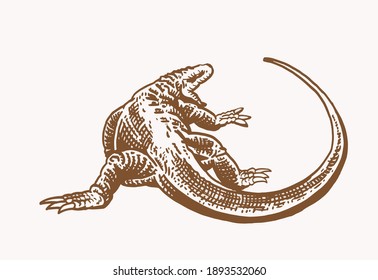 Vector sepia ilustración de varan