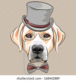 vector serious cartoon hipster dog Labrador Retriever in a gray silk hat, pince-nez and bow tie