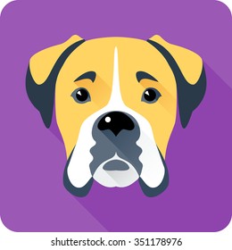 Vector serious dog Boxer icon flat design 