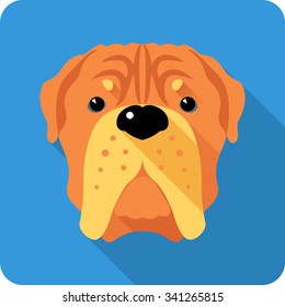 Vector serious dog French Mastiff or Dogue de Bordeaux  icon flat design 