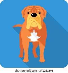 Vector serious dog French Mastiff or Dogue de Bordeaux  icon flat design 