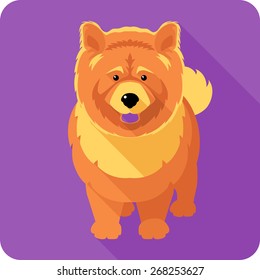 Vector serious dog red chow-chow standing icon flat design 