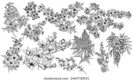 Vector set of 11 flowering trees. Magnolia, jasmine, lilac, forsythia, mimosa, wisteria, rosehip, sakura, blossoming: apple tree, apricot, cherry