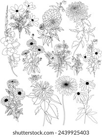 Vektor-Set von 12 Herbstblumen. Dahlie, Kosmos, Zinnia, Ringelblume, Ringelblume, Rudbeckia, Gladiolus, Datura, Eryngium, Allium, Chrysanthemen, Lobelia