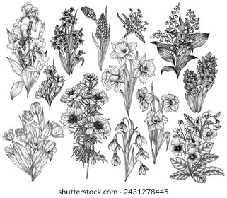 Vector set of 13 bouquets of spring flowers. Snowdrops, crocuses, brunnera, tulips, muscari, hyacinths, irises, daffodil, pansies, lily of the valley, anemone, scilla 