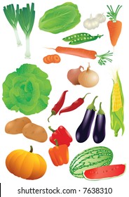 Vector set of 14 fresh vegetables.