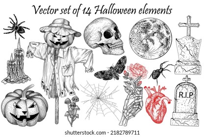 Vector set 14 Halloween elements in engraving style  Graphic linear skull  carved pumpkin  scarecrow  mushrooms  human heart  tombstones  skeleton hand  cobweb  candles  spiders  moth