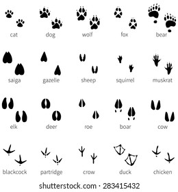 Vector Set of 20 Black Animal Footprints Icons