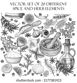 Vector set of 20 spices and herbs elements. Rosemary, peppercorns, lavender, anise, cinnamon, onion, mint, lemon, chili, curry, parsley, garlic, dill, curry, ginger, saffron, basil, vanilla