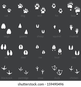 Vector set of 20 white animal footprints icon