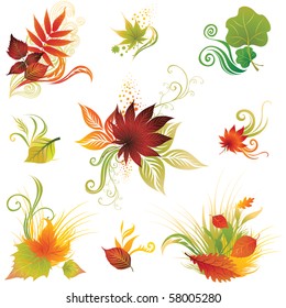 Vector set 3 of colorful autumn leafs design elements. Thanksgiving