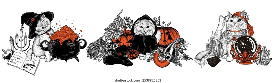 Vector set of 3 mystical cats for Halloween. A fortune-telling cat with a magic ball, a sorcerer cat with a boiling cauldron, a cat in a hood with pumpkins