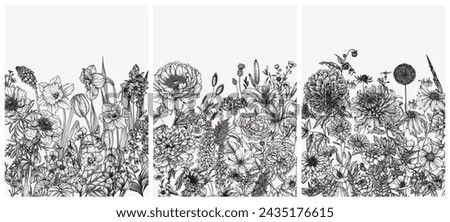 Similar – Image, Stock Photo Autumn anemones from the frog’s perspective again