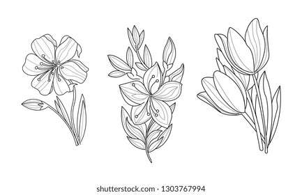 Vector set of 3 sketchy ornamental flowers. Beautiful blooming plants. Botanical theme. Hand drawn illustrations