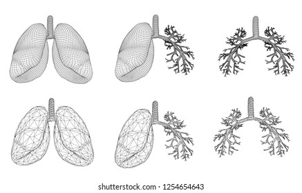 Vector Set 3d Lungs Bronchus Isolated Stock Vector (royalty Free 